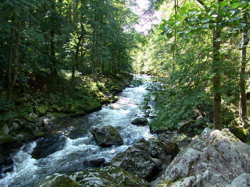 Bayerischer Wald Urlaub Bay. Wald