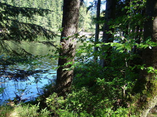 Bayerischer Wald Kurzurlaub